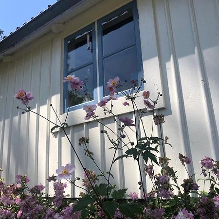 Seaside Cottage Haga Park Frobygarda 外观 照片