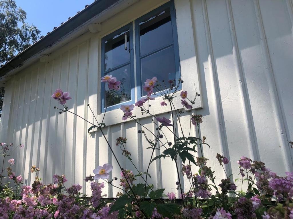Seaside Cottage Haga Park Frobygarda 外观 照片